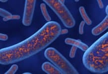 Mysterious Flesh-Eating Bacteria Wreaks Havoc In Australia