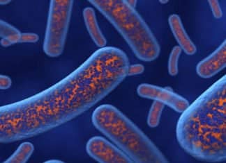 Mysterious Flesh-Eating Bacteria Wreaks Havoc In Australia