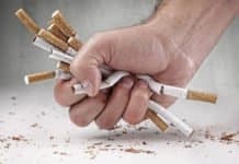 Biotech Start up Formulates Tobacco With 97 Percent Less Nicotine ?