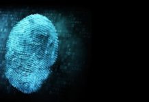 Centre For DNA Fingerprinting & Diagnostics Hiring For Post of Research Associate / Project Fellow / Project & Research Assistant