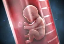 Organisations Urge “Cautious But Proactive Approach” Towards Germline Genome Editing