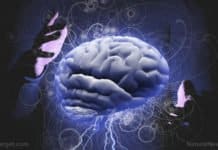 The Chinese Launch Brain-Imaging Hub, Aim To Make Brain Mapping A Standard Tool For Neuroscience