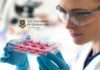 PhD Scholarships in Stem Cell Biology at The University of Queensland, Australia