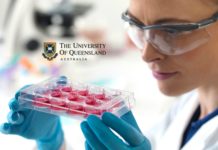 PhD Scholarships in Stem Cell Biology at The University of Queensland, Australia