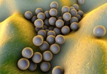 Antibiotics Use and Its Influence on Cancer Treatment