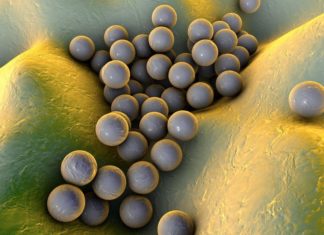 Antibiotics Use and Its Influence on Cancer Treatment