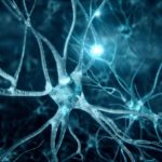 BSc Life Sciences Vacancy @ IISER Kolkata