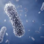 An Engineered Mix of Bacteria/Archaea to Shed Light on Evolution Life Sciences JRF/Project Fellow Position Vacant