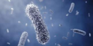 Life Sciences JRF/Project Fellow Position Vacant