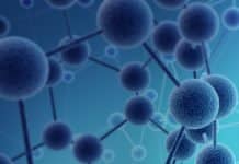 5 PhD positions in Molecular and Chemical Ecology and Evolution @ International Max Planck Research School (IMPRS)