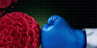 Drug-Laden Nanoparticles Hunt and Eliminate Cancer Stem Cells