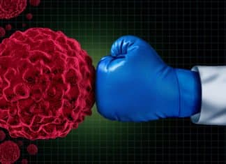 Drug-Laden Nanoparticles Hunt and Eliminate Cancer Stem Cells