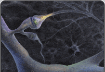 New Botulinum Neurotoxin Uncovered, May Hold Potential To Treat Numerous Medical Maladies