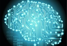 New Research Unearths Brain Circuit Necessary For Memory Retrieval