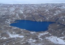 Unexpectedly Discovered Antarctic Microbe Could Reveal Origins Of Viruses