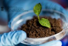 Govt Job : 36 RA & 32 SRF Post Vacant @ Directorate of Plant Protection, Quarantine & Storage