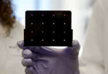 Scientists Develop “SPEDs”, A Self-Powered, Paper-Based Diagnostic Tool