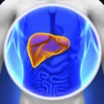Mitochondria Nibbling Molecular “Pac-Man” Might Be Facilitating Proliferation Of “Bad Seeds” Of Liver Cancer