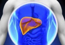 Major Gene Loss May Lead to Liver Cancer, Study Reveals