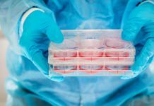 Diabetes Cure Near-At-Hand : Scientists Develop First-Ever Stem Cell Implants MSc Biotech & Life Sciences JRF Post Vacant @ Regional Cancer Centre