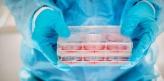 MSc Biotech & Life Sciences JRF Post Vacant @ Regional Cancer Centre