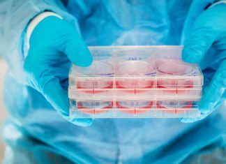 MSc Biotech & Life Sciences JRF Post Vacant @ Regional Cancer Centre