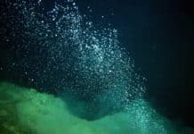 Methane-Eating Bacteria Underneath The Antarctic Shelf, Can Help Reduce Global Warming ?