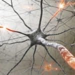 In a Breakthrough Development, MS Trial Produces Miraculous Results