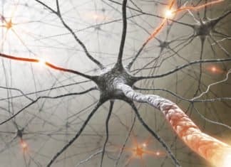 In a Breakthrough Development, MS Trial Produces Miraculous Results
