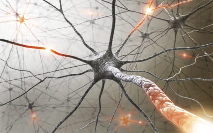 In a Breakthrough Development, MS Trial Produces Miraculous Results