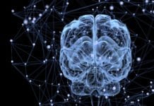 Parkinson’s Gene Mutation Found to Initiate the Disease Outside the Brain Biotech & Life Sciences Programmer (Project) Post @ NBRC