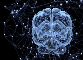 Microglial Synaptic Remodelling Captured on Film for First Time Biotech & Life Sciences Programmer (Project) Post @ NBRC