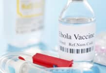 IBT, Scripps Receive $6.6M Grant From NIH,NIAID For Ebola Vaccine