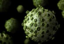 Study Opens New Frontiers Of Understanding Viruses Sr. Associate - Data Integrity Posts Vacant @ Zydus Cadila