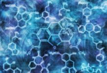 Novel Tool to Test Likelihood of Drugs Going Rogue on Entering the Body Amrita Vishwa Vidyapeetham Recruiting MSc Life Sciences