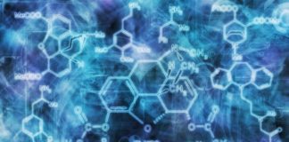 Amrita Vishwa Vidyapeetham Recruiting MSc Life Sciences