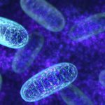 MSc & PhD Research Positions Vacant @ ICAR-NDRI