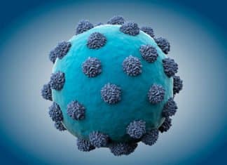 ddPCR Facilitates Highly Sensitive, Accurate Detection of Hepatitis B ddPCR Facilitates Highly Sensitive, Accurate Detection of Hepatitis B