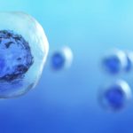 FDA Announces Crackdown On 'Unscrupulous' Stem Cell Clinics