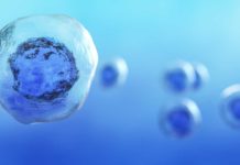 FDA Announces Crackdown On ‘Unscrupulous’ Stem Cell Clinics FDA Announces Crackdown On 'Unscrupulous' Stem Cell Clinics