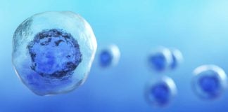 FDA Announces Crackdown On 'Unscrupulous' Stem Cell Clinics