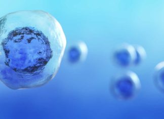 FDA Announces Crackdown On 'Unscrupulous' Stem Cell Clinics