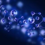 Genome-Nuclear Lamina Interactions Regulate Cell Identity MSc Biosciences Junior Research Fellow Post Vacant