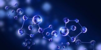 MSc Biosciences Junior Research Fellow Post Vacant