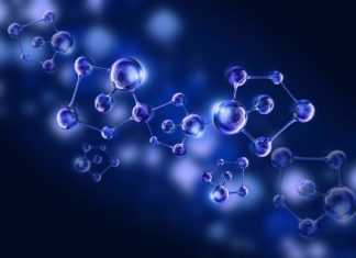 MSc Biosciences Junior Research Fellow Post Vacant