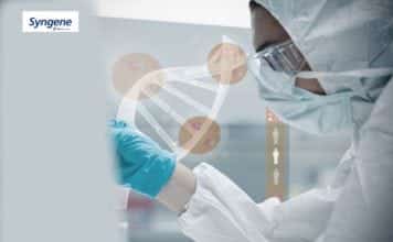 Mega Recruitment Drive @ Syngene For Cell Biologist, Assay Biologist, Hybridoma & Analytical Scientist Post Biosciences Candidates Apply Online @ Syngene