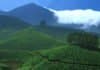Scientists “Unearth” Two New Species Of Earthworms In The Western Ghats