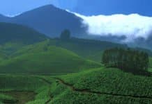 Scientists “Unearth” Two New Species Of Earthworms In The Western Ghats