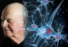 Bioengineered Elixir Of Life : Scientists Reverse Aging In Cells