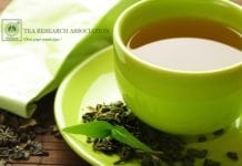 Govt Job : Junior Research Fellow Post @ Tocklai, Tea Research Institute Govt R&D Vacancies for BSc/MSc @ Tocklai, Tea Research Association